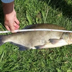 Berkley Whiplash Crystal 8 -Hengelset Winkel 4867