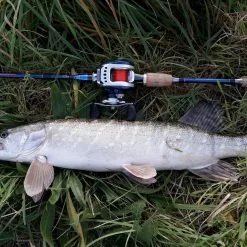 Spiderwire Stealth Smooth 8 Red -Hengelset Winkel 5144