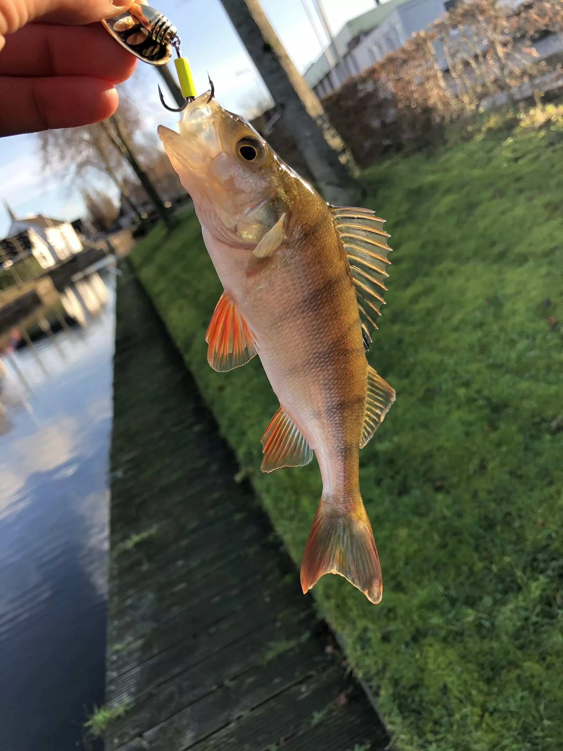 Savage Gear Rotex Spinner 4 Savage Gear Rotex Spinner - Afbeelding 2