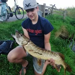 Jerkbait Set Pro -Hengelset Winkel 7112