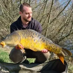 Mitchell GT Pro Karperset 3.30m -Hengelset Winkel Mitchell GT Pro Karperset 330m 85692